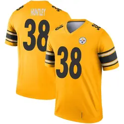 Nike Jason Huntley Pittsburgh Steelers Youth Legend Gold Inverted Jersey